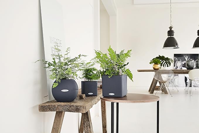 Lechuza Puro Color 20 Slate, Self-Watering Small Indoor Planter, D7.9 H6.3 in - Image 6