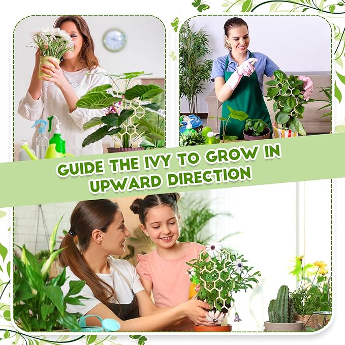 Nuenen 5 Pack Indoor Plant Trellis - Image 3