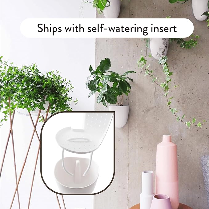 Make Good PlantPod Luxe Self-Watering Wall Planters - Image 3