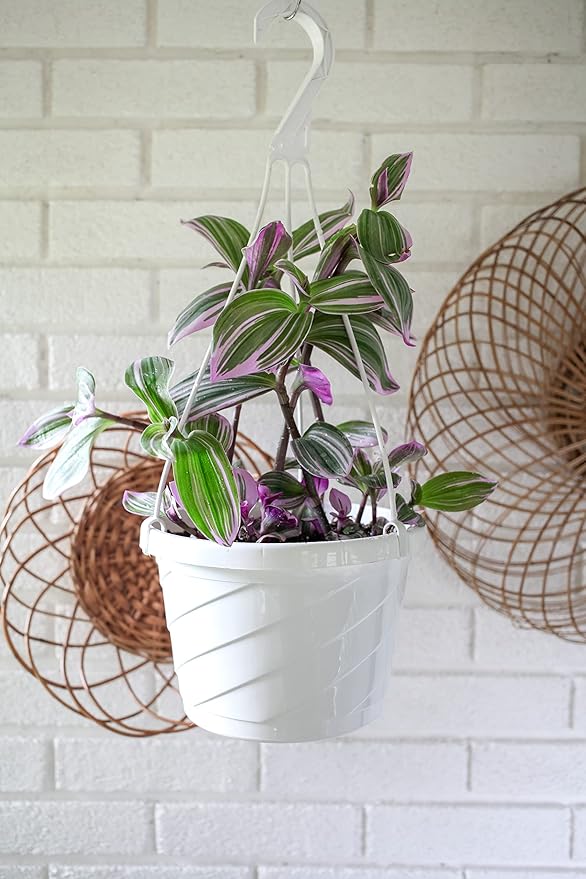 The HC Companies Euro Hanging Basket Planter Decorative 12-Inch Large Plastic - Image 5