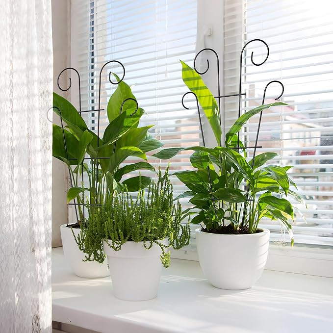4 Pack 23'' Indoor Plant Trellis - Image 3