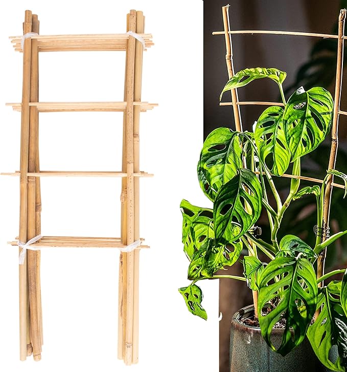 Avalution 10 Pack Natural Bamboo Trellis by Avalution