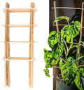 Avalution 10 Pack Natural Bamboo Trellis by Avalution