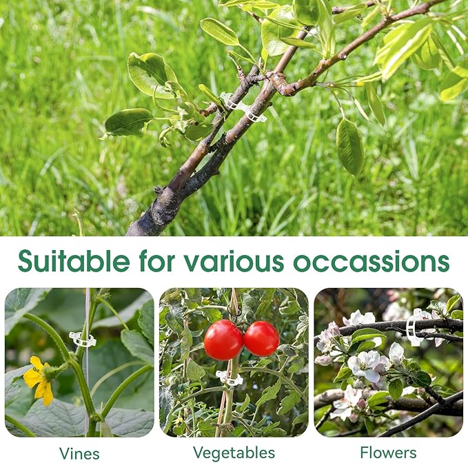 150 Pcs Plant Clips for Climbing Plants, Tomato Clips for Support, Plastic - Image 6