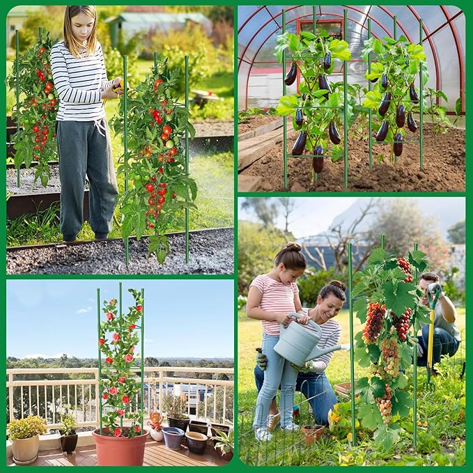 3 Pack Tomato Cages, 51.2in Tomato Plant Support Stakes Heavy-Duty, Garden - Image 3