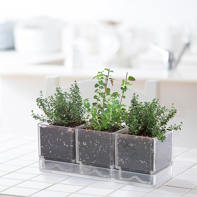 D'vine Dev Herb Garden Planter Set, Plastic Plant Pots - Image 7
