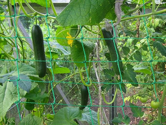 Trellis Netting for Climbing Plants - Image 6