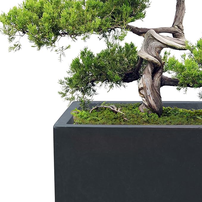Kante 18.5" H Tall Rectangular Concrete Planters, Outdoor Indoor Lightweight - Image 8