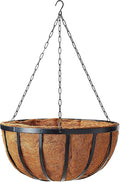 Arcadia Garden Products 1592 Solstice Series Coconut Hanging Basket 16-Inch by Unknown
