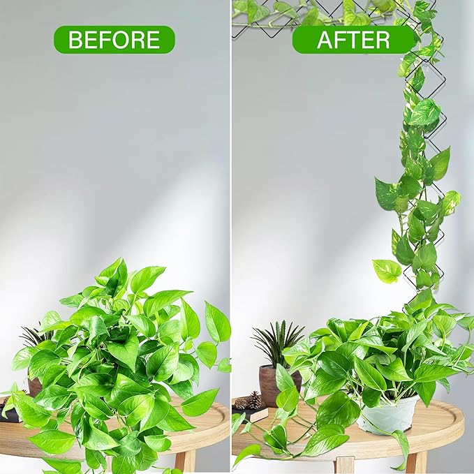 2 Pack 36pcs Chain Trellis for Climbing Plants Indoor & Outdoor, Garden Wall - Image 3