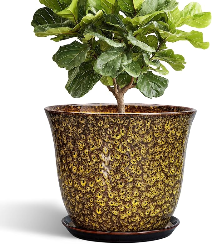 12 Inch Plant Pot by SUNPOTFOR