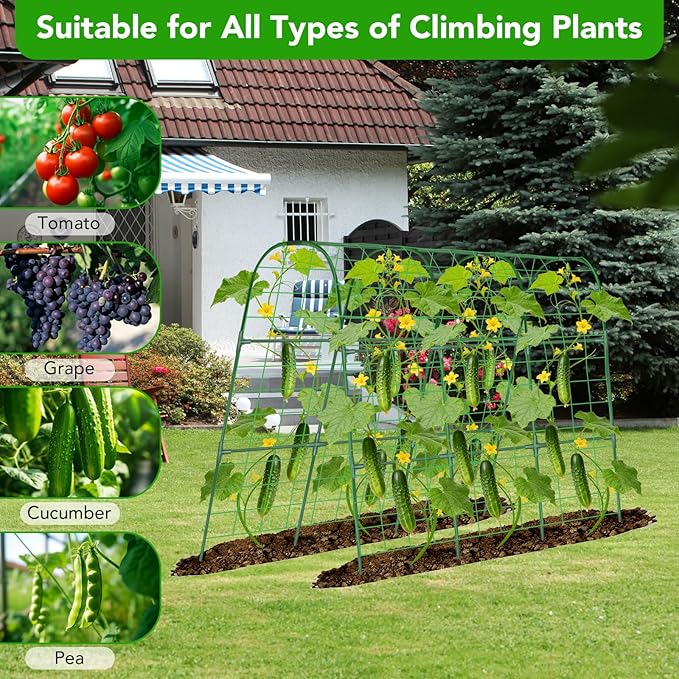 Cucumber Trellis for Raised Bed, U-Shape Garden Trellis for Climbing Plants - Image 4