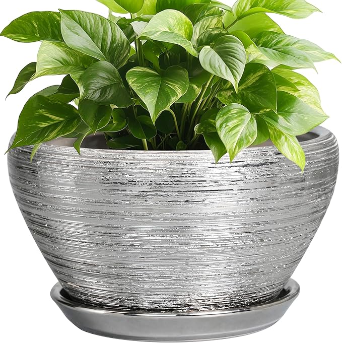Pot for Plants 9 Inch by Ceramicfor