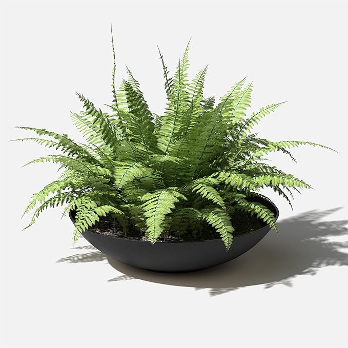 Veradek Mason Series Lane Bowl Planter| - Image 8