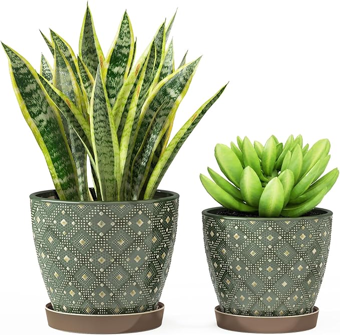 Docrin Dark Green Ceramic Planter Set by DOCRIN