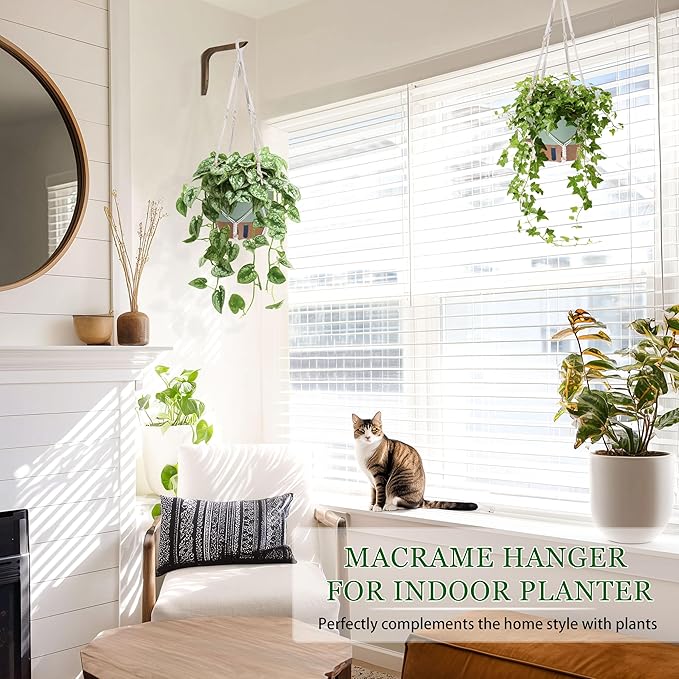 10 Inch Hanging Planters for Indoor Plants, 2 Pack Self Watering Hanging - Image 3