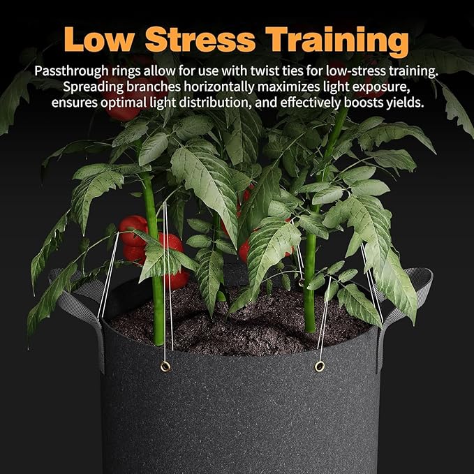 Self-Watering Grow Bags, for Low Stress Plant Training Fruits, Vegetables - Image 4