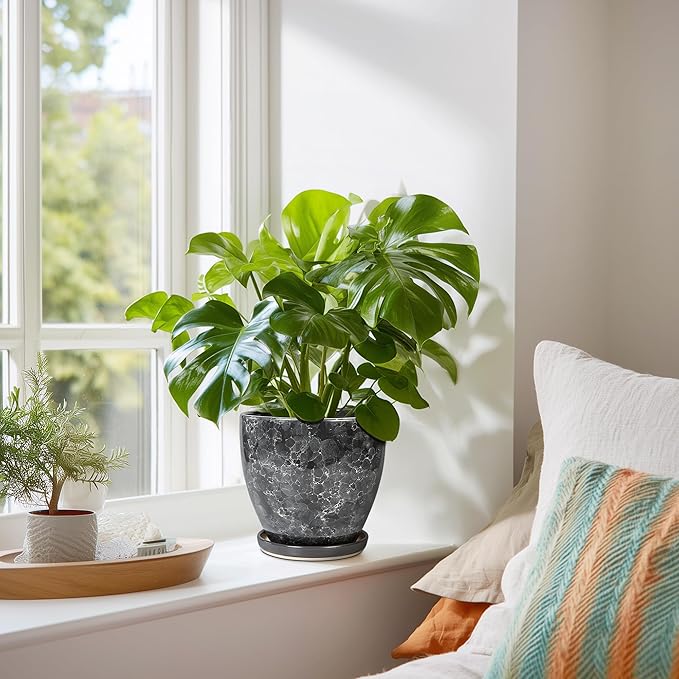 Ceramic Pots for Plants - Image 6