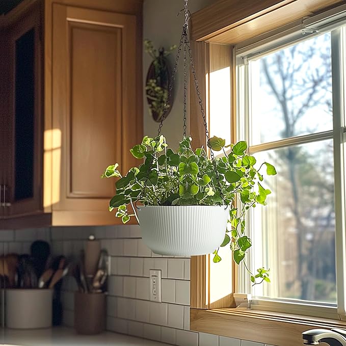 T4U Hanging Planter Self Watering 8 Inch, 2 Pack White Indoor Hanging Plant pots - Image 9
