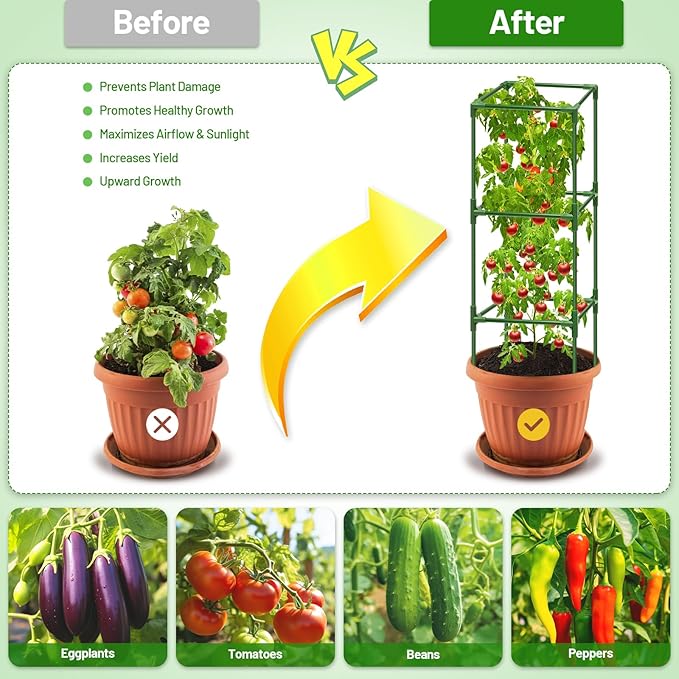 Legigo 6 Pack Square Tomato Cages - Image 3