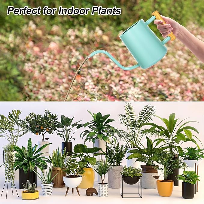 Watering Can Indoor Plants, 35 oz/1000 ml Metal Stainless Steel Watering Can Pot - Image 5