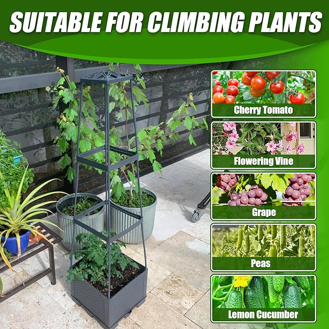2 Packs Raised Garden Bed Tomato Planter Box - Image 6