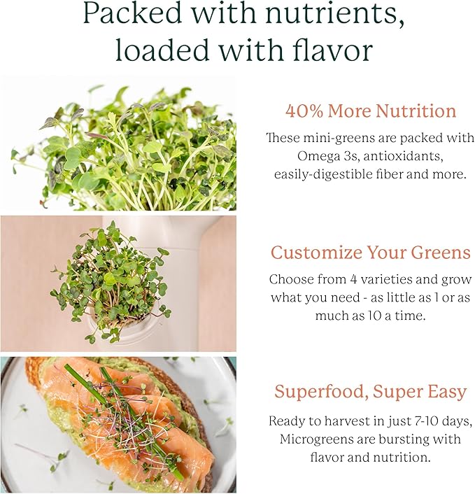 GARDYN Complete Microgreens Growing Kit - Image 2