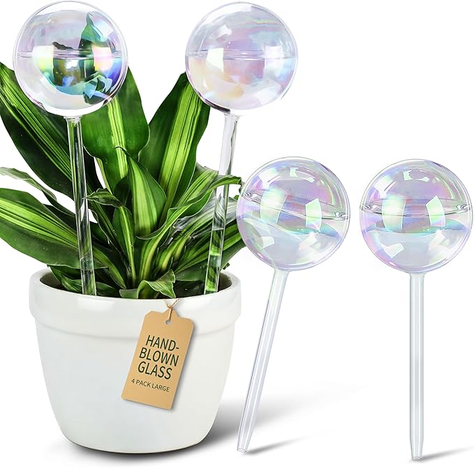 Large Extra-Thick Clear Glass Plant Watering Globes, Rainbow Gradient Self by SoilaguaDirect