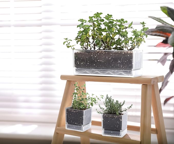 D'vine Dev 12 Inch Window Box Planter, Rectangle Plastic Herb Planter - Image 3