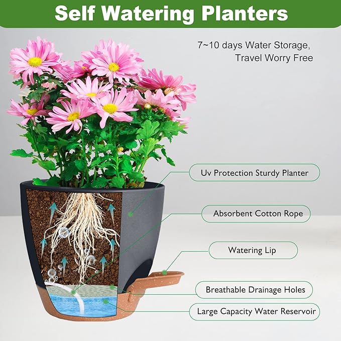 Planters for Indoor Plants, 8/7/6.5/6/5.5/5 Inch Self Watering Plant Planters - Image 2