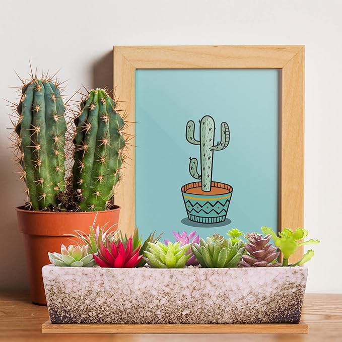 Succulent Pots - Large Succulent Planter Pots - Image 5
