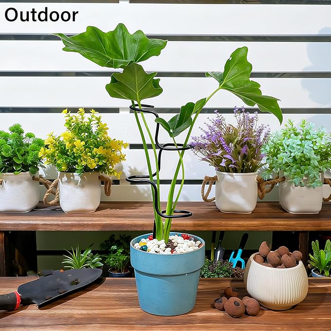 3PCS Indoor Plant Support Stakes - Image 5