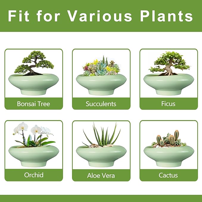 Ceramic Bonsai Pots - Image 7