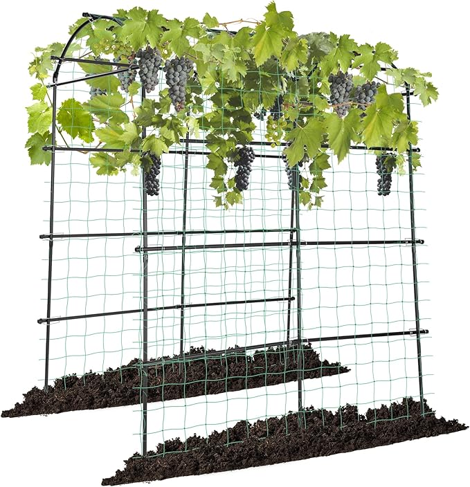 VIVOSUN 7Ft. Arch Trellis for Climbing Plants, Lightweight Metal Plant Support by VIVOSUN