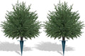 Artificial Norfolk Topiary Cedar Trees by FEELTHENEWWORLD