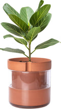 Phoenix Vine 8 Inch Self Watering Planter Pot, Terracotta Clay Pot by Phoenix+Vine