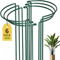 TCBWFY 14" Dx32 H Plant Supports Stakes by TCBWFY