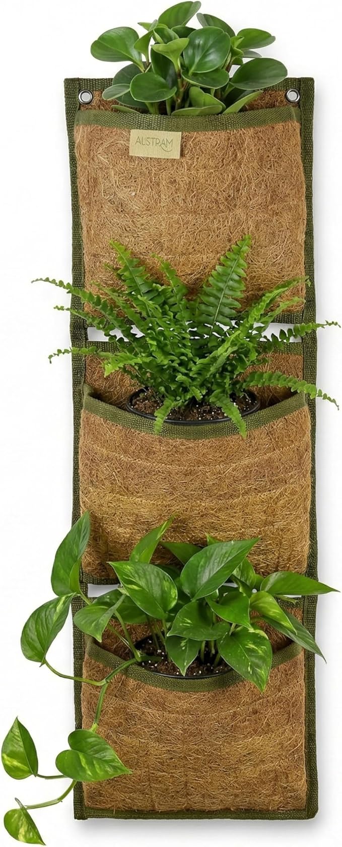 Vertical Garden Planter, 3 Pocket, Living wall Planter, Hanging wall planters by Austram