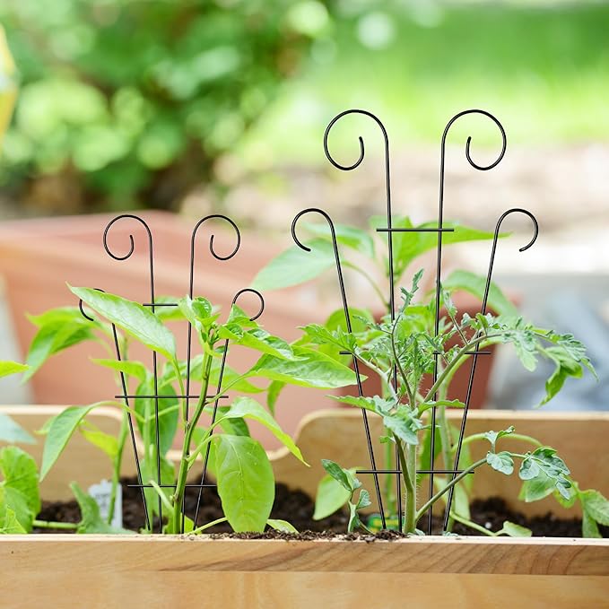 4 Pack 32'' Indoor Plant Trellis - Image 4