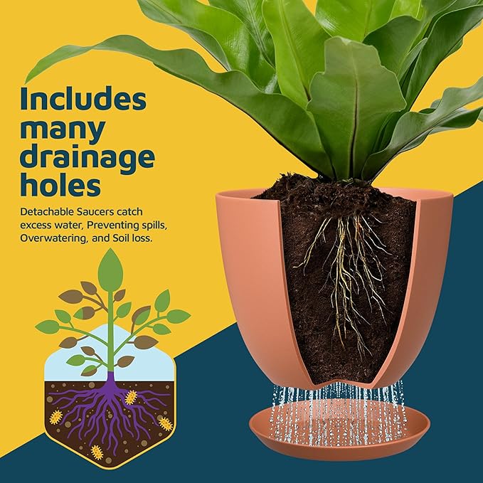 Terracotta Plant Pots with Drainage Holes & Saucers 5 Pack, Indoor & Outdoor - Image 6