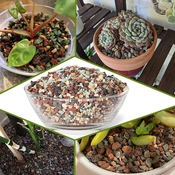 Succulent Pots, 10 Inch Large Succulent Planters - Image 5