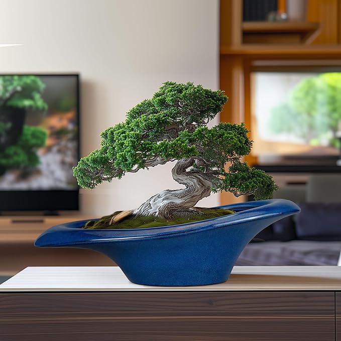 Bonsai Tree Pot 18 Inch - Image 2