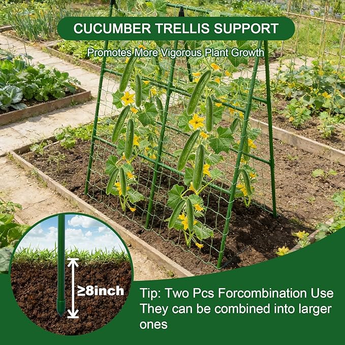 2-Pack A-Frame Cucumber Trellis - Image 4