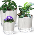 3 Pack Self Watering Pots for Indoor Plants, 4+5.5+6.3 Inch Self Watering Plant by Samhe