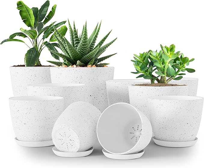 Utopia Home - Spotty Plant Pots Indoor - 7/6.6/6/5.3/4.8 Inches Flower Pots - by UTOPIAHOME