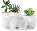 Utopia Home - Spotty Plant Pots Indoor - 7/6.6/6/5.3/4.8 Inches Flower Pots - by UTOPIAHOME