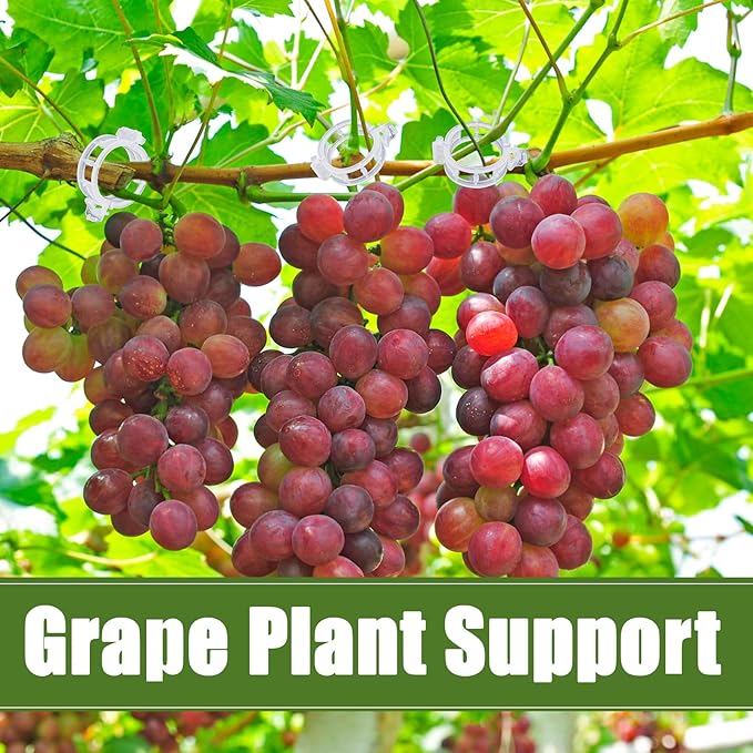 Anyumocz 400Pcs Plant Support Garden Clips, Plastic Grape Tomato Support Clip - Image 6