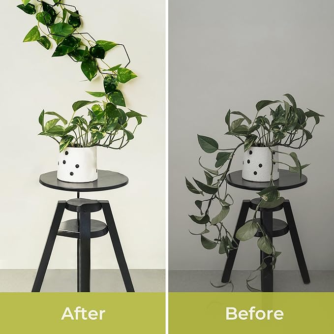 Chain Trellis for Climbing Plants - Image 4