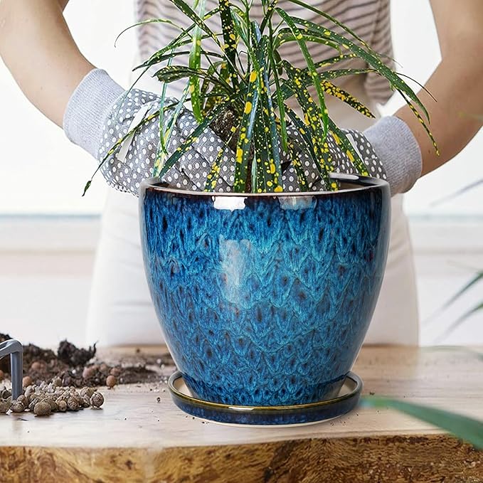 8 Inch Ceramic Planter Pot - Image 4