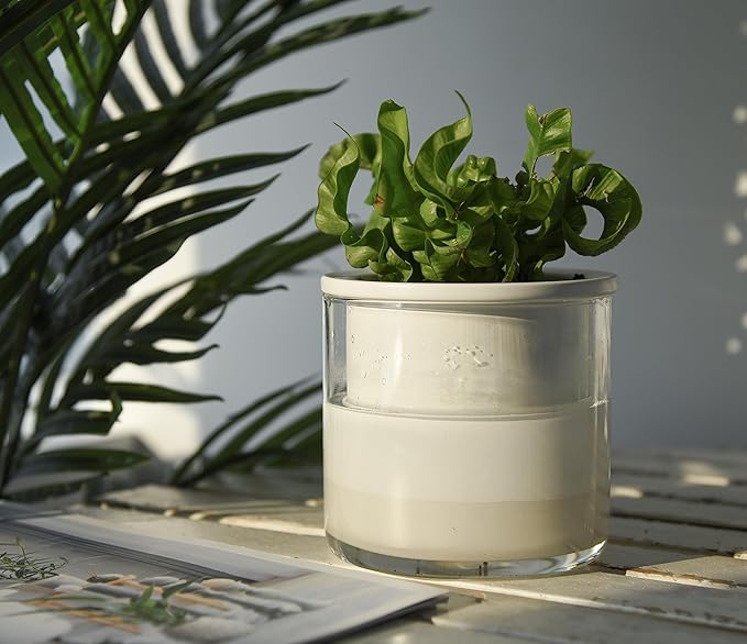 Phoenix Vine 4 Inch Self Watering Planter Pot, Design White Terracotta Pots - Image 7